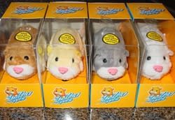 Winner of the dealnews Zhu Zhu Pet Sweepstakes