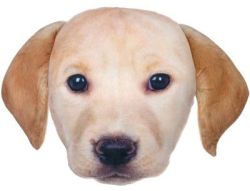 Lab Pill Plush Photo Real Pillow for $4