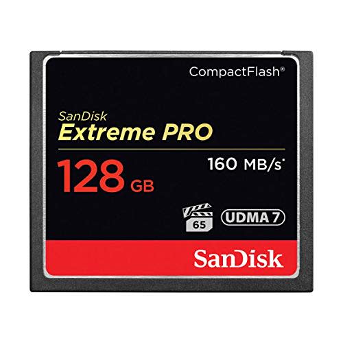 SanDisk Extreme PRO 128GB CompactFlash (CF) Memory Card for $80 + free shipping