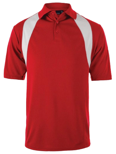 Reebok Men's Athletic Polo for $20 for 2 + free shipping