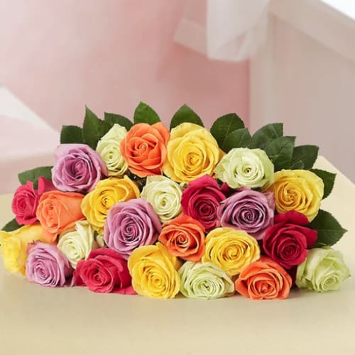 Two Dozen Assorted Roses from $35 + free shipping w/ Celebrations Passport