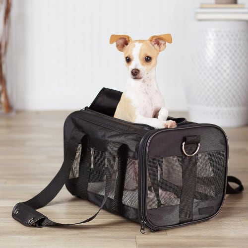 Amazon Basics Soft-Sided Mesh Pet Travel Carrier (Small) for $15 + free shipping