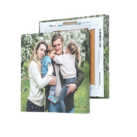 Canvas on the Cheap Deal: 24" x 36" for $30, 50% off frames + free shipping