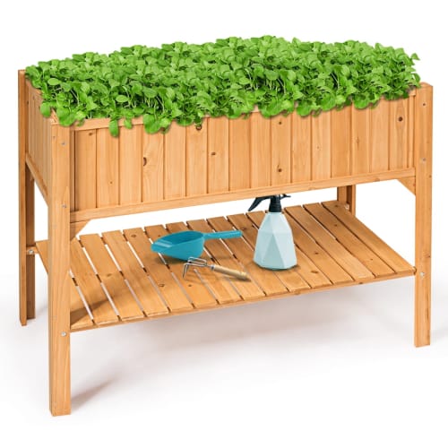 Plants & Planters Deals at Walmart: Up to 80% off + free shipping w/ $35