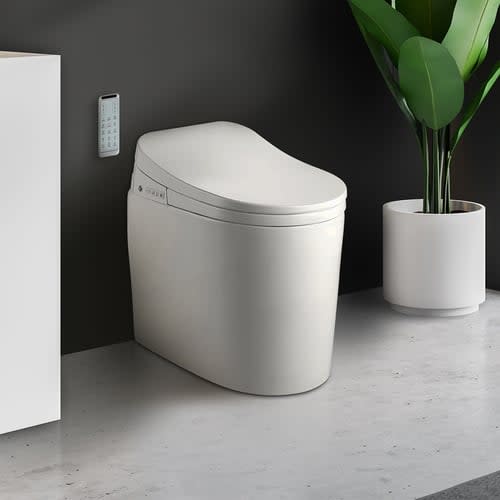One-Piece Floor-Mounted Bidet Smart Toilet for $445 + free shipping