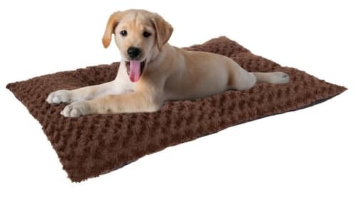 Pet Beds at Lowe's: Up to 30% off + free shipping w/ $45