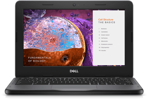 Dell Laptops from $259