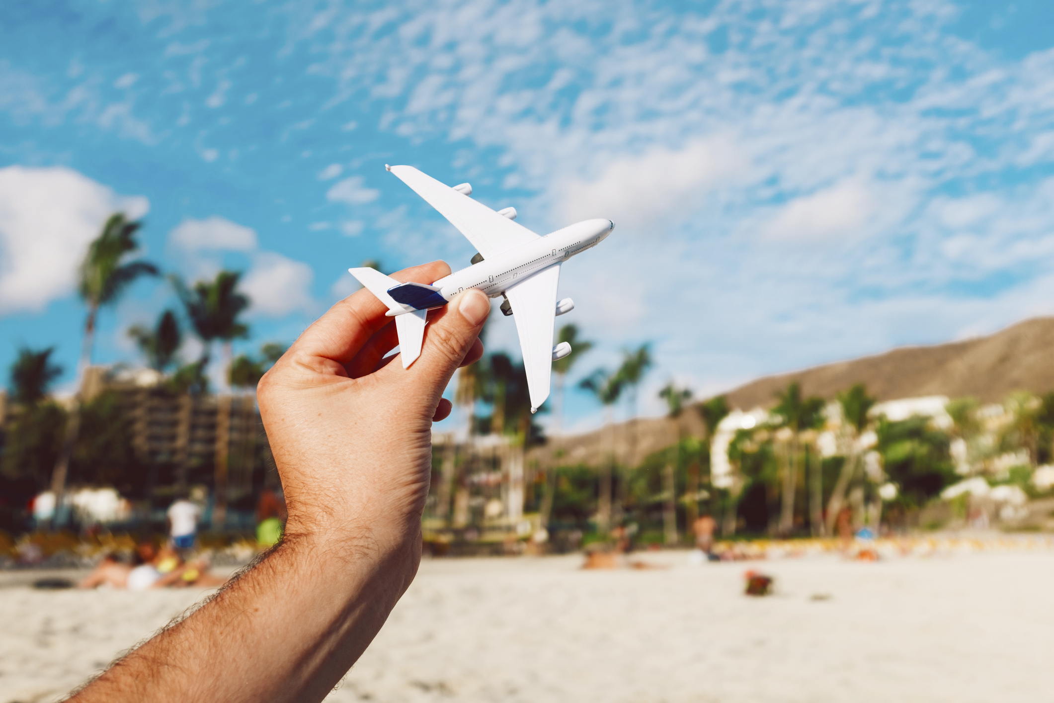 Person holds toy airplane on beach.